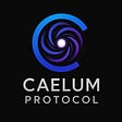 Caelum Protocol's avatar
