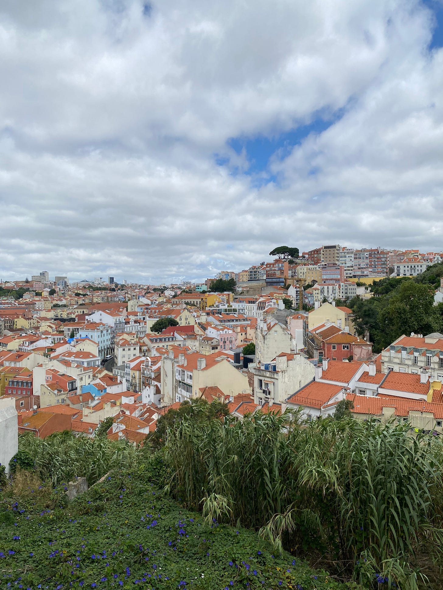 A view of Lisbon city. There is green grass in the foreground, pale yellow buildings with orange roofs and a cloudy sky A view of Lisbon city. There is green grass in the foreground, pale yellow buildings with orange roofs and a cloudy sky