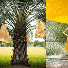 #48 field notes with Designer Tammy Amorn of Seire Collective