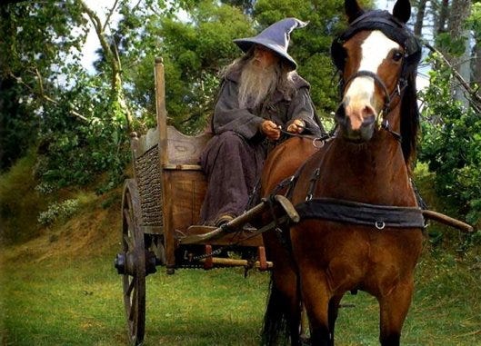 Wains, Carts, and… (2) | doubtfulsea Wains, Carts, and… (2) | doubtfulsea