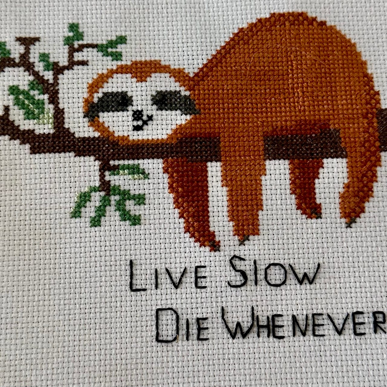 Live Slow, Die Whenever