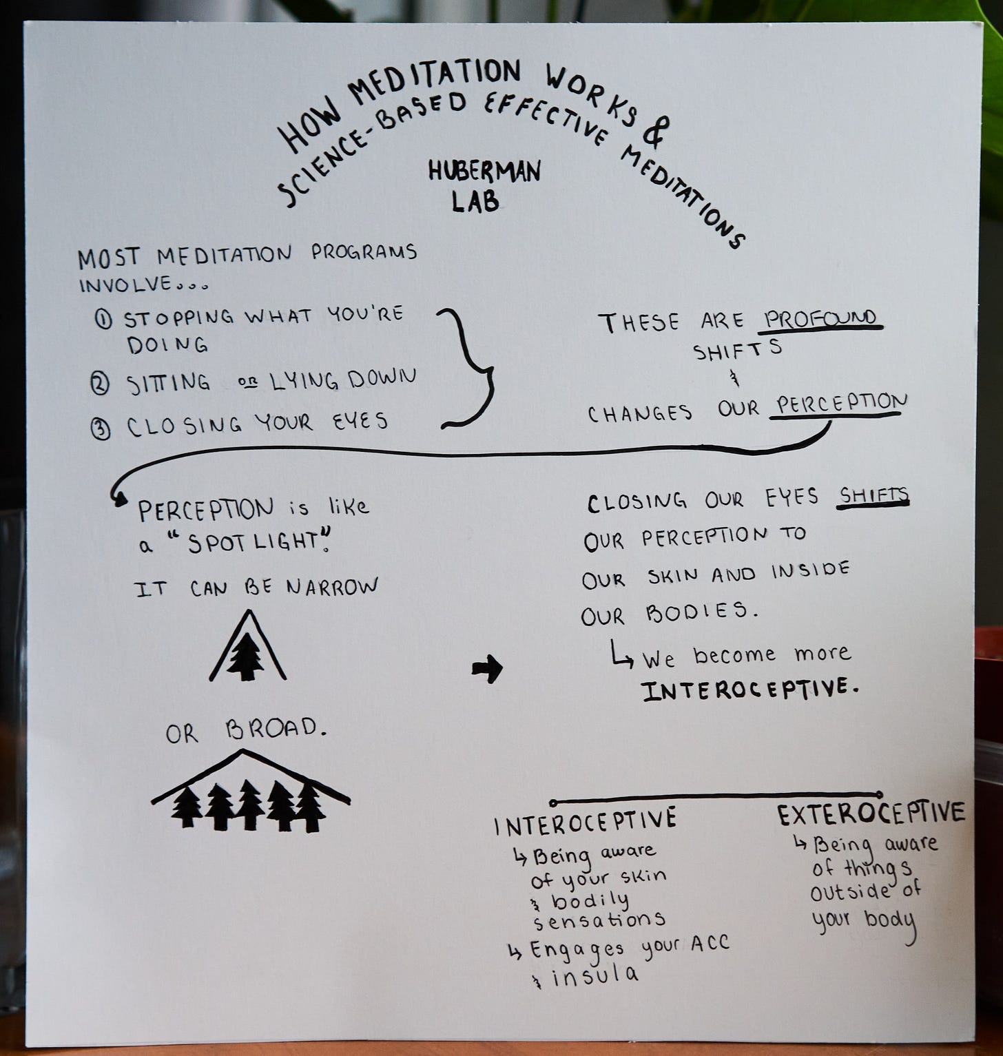An infographic on how most meditation programs involve shifting your perception and moving along a spectrum of interoceptive and exteroceptive An infographic on how most meditation programs involve shifting your perception and moving along a spectrum of interoceptive and exteroceptive