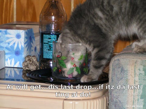 Kali_Milk_Drops Kali_Milk_Drops