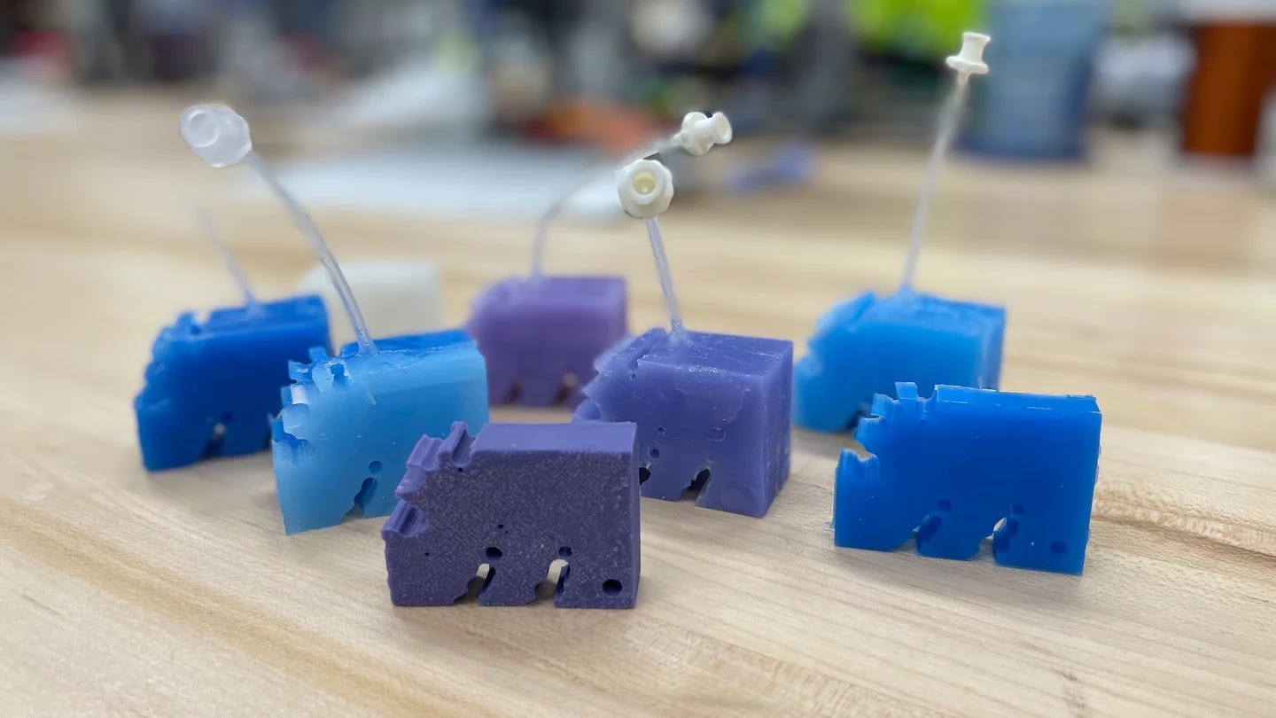 They may not look like much, but they skipped past billions of years' of evolution to get those little legs. NORTHWESTERN UNIVERSITY They may not look like much, but they skipped past billions of years' of evolution to get those little legs. NORTHWESTERN UNIVERSITY