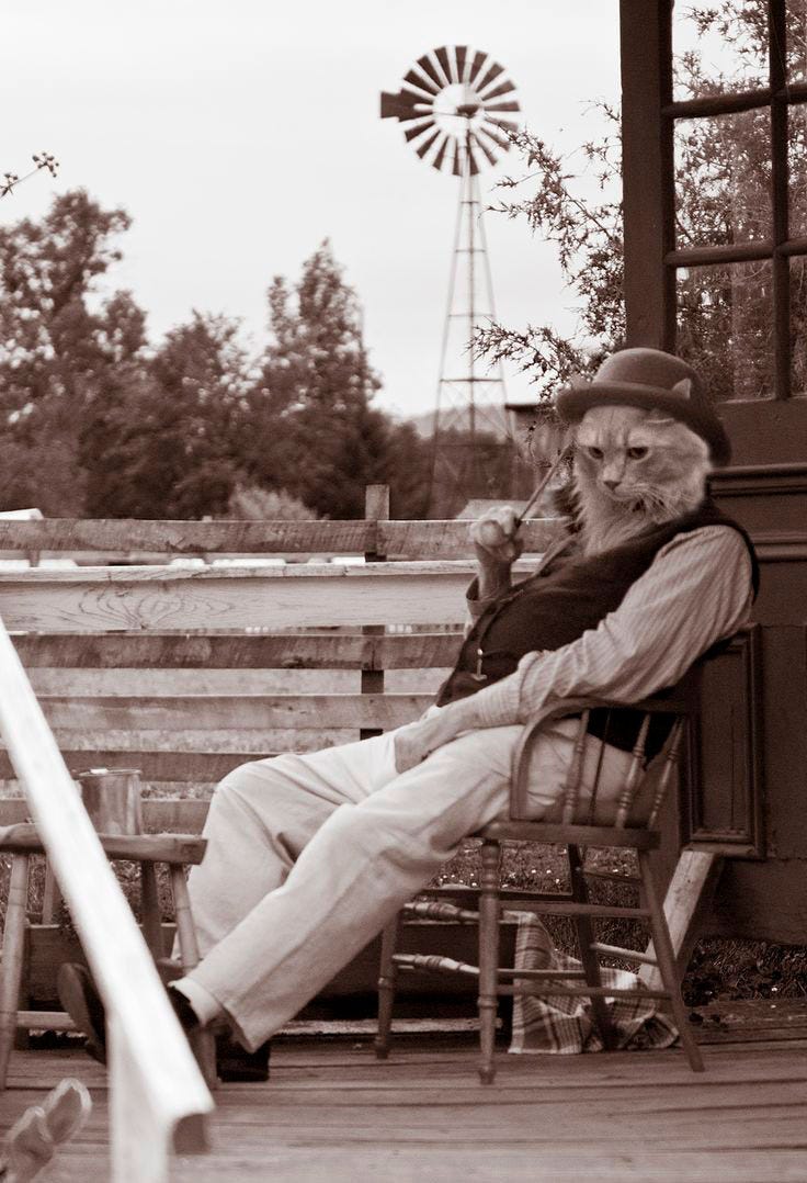 A photoshopped images of an old man smoking on a porch but with a cat's head