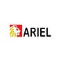 Ariel Security Academy's avatar