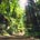 The Garden Path's avatar