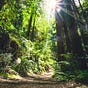 The Garden Path's avatar