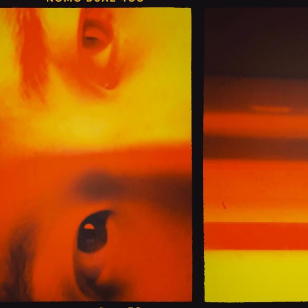 \ud83c\udf17 MOON SEEDS  