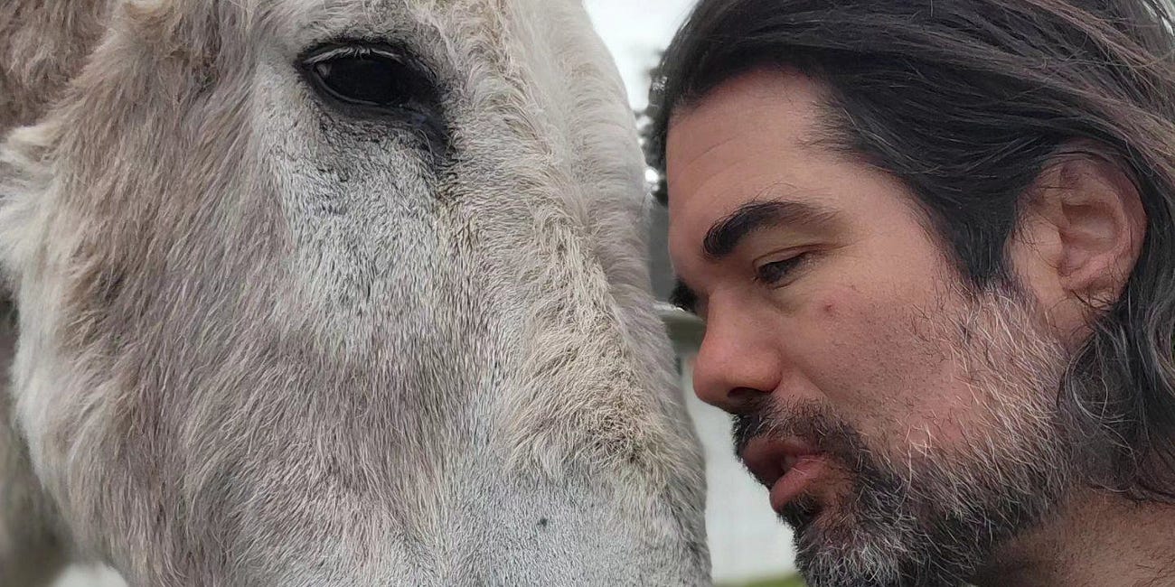 The donkey who loved music