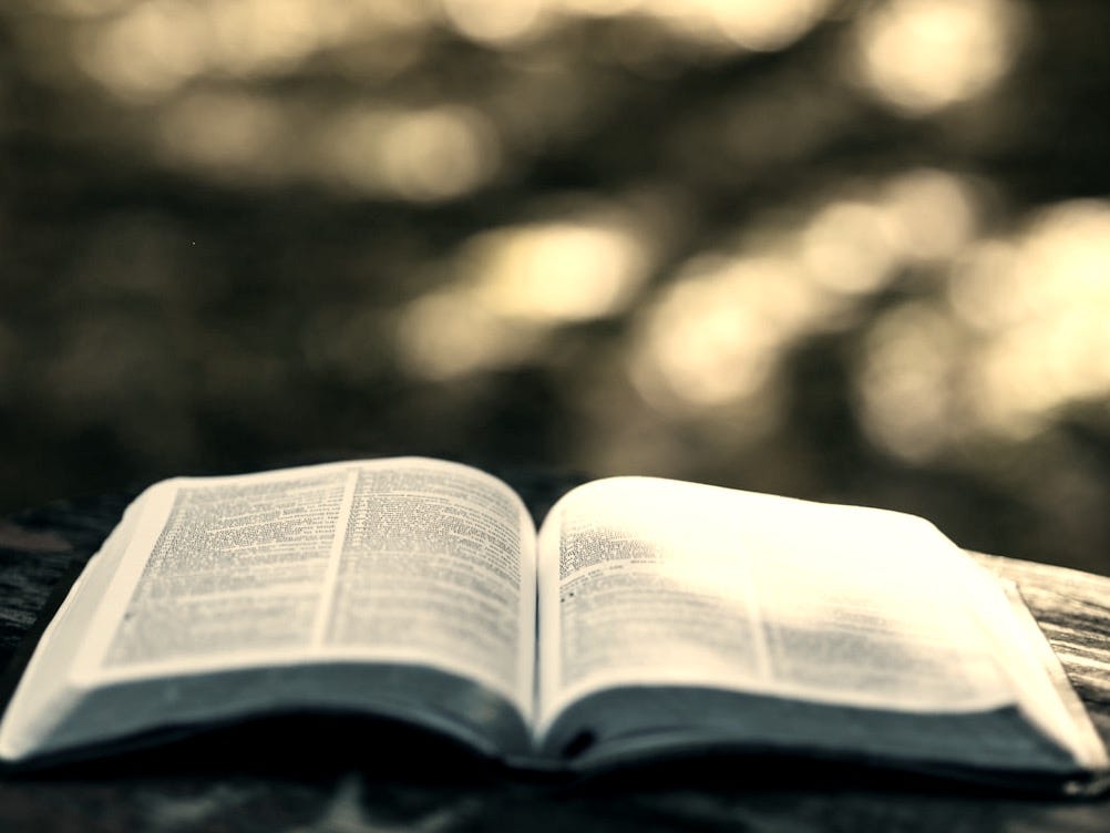 opened book selective focus photography