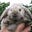 Bunny Breit's avatar