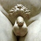 On David and the fig leaf 