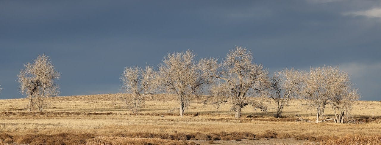 Nature's Lessons, Learning from Nature, Letting Go