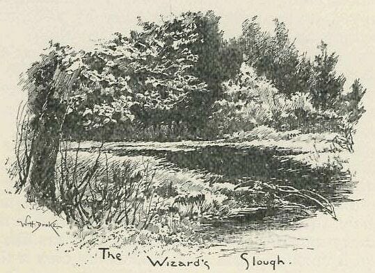 swamp with overhanging oak trees