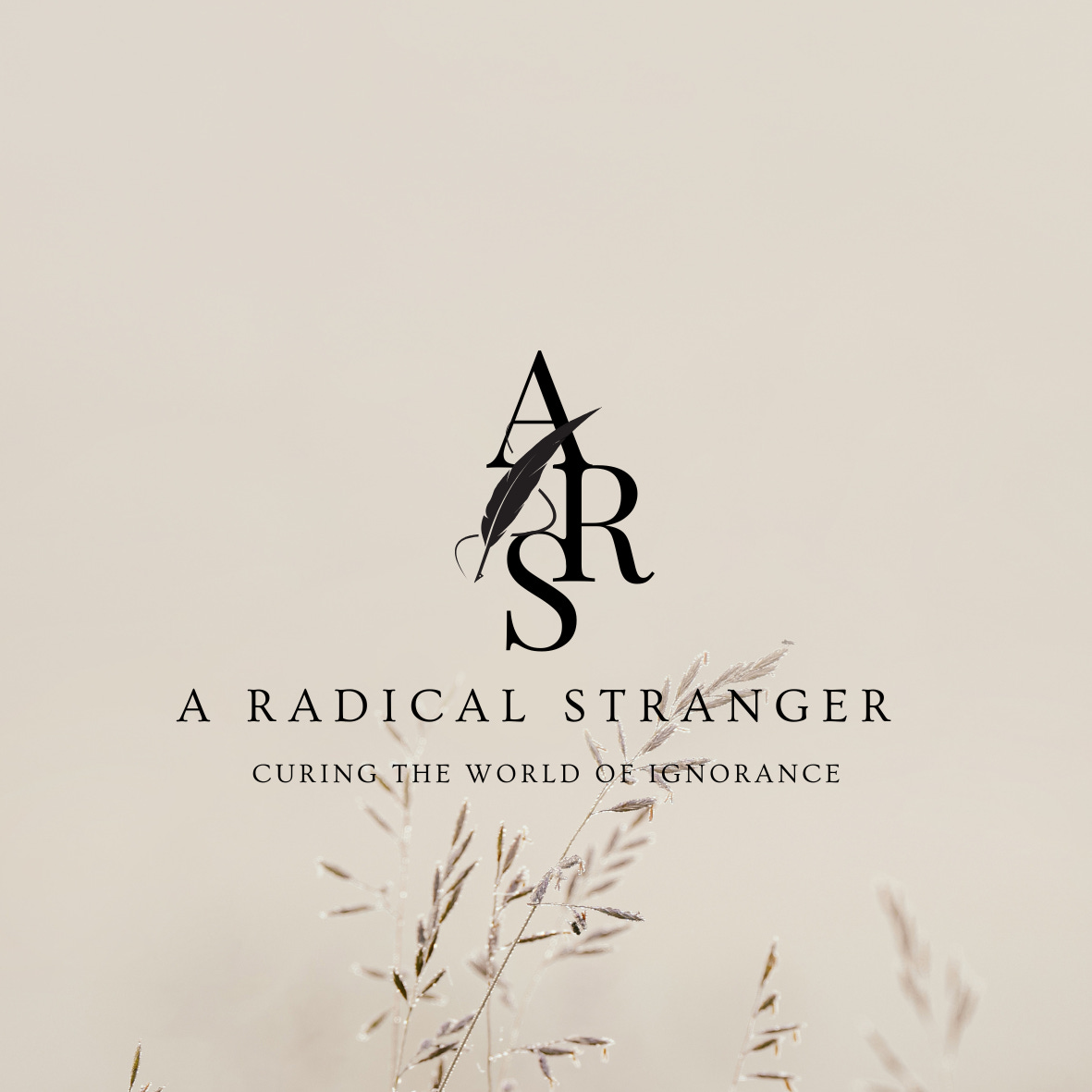 Observations of A Radical Stranger 