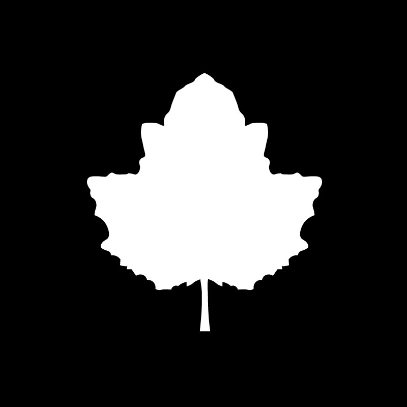 Artwork for Burning Poplar Commentaries