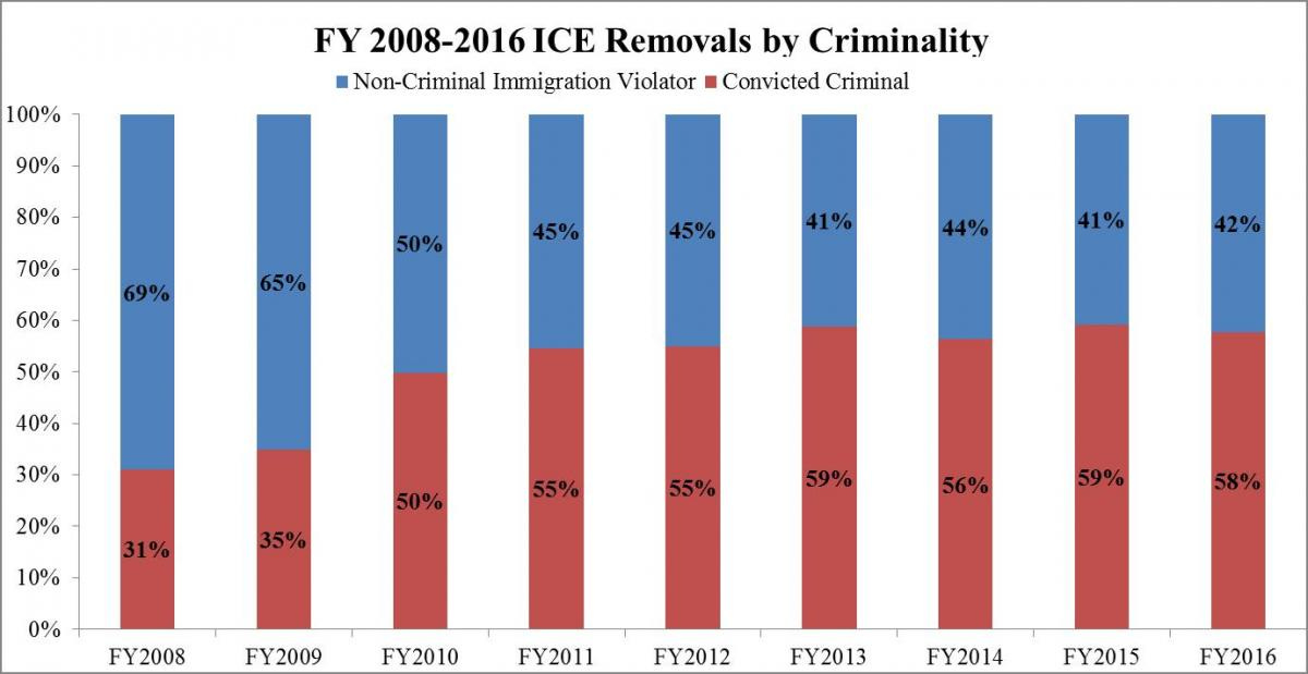 Ice Pattern Immigration U.S. Immigration and Customs Enforcement (ICE) Explained