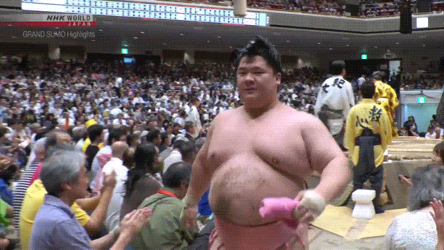 SUMO　STOMP/SUMO　COMP ベース sumo comp レビュー】SUMO STOMP SUMO COMP - あさぎ