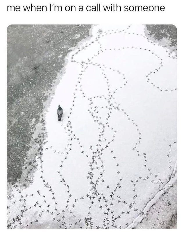 Me when I'm on a call with someone : r/memes