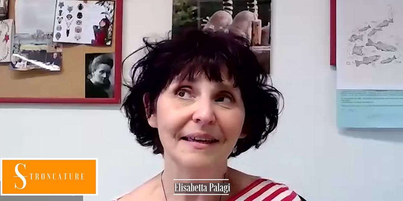 "Perché ridiamo" di Fausto Caruana ed Elisabetta Palaggi (il Mulino, 2024)