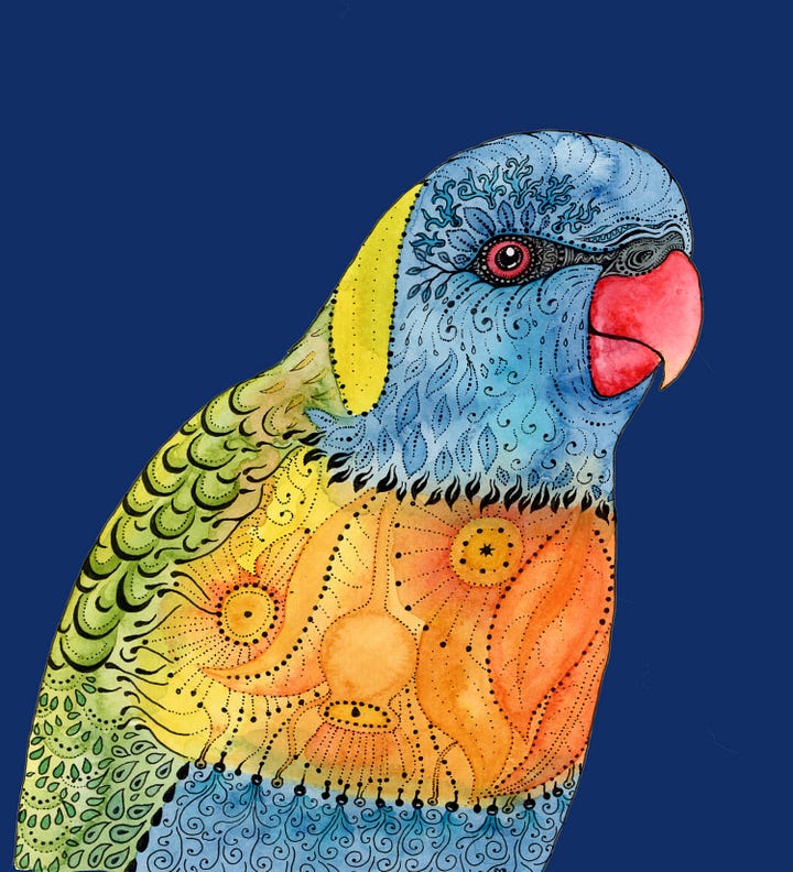 Kangaroo and Rainbow Lorikeet Artworks