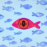 Upstream with Jayden Morris