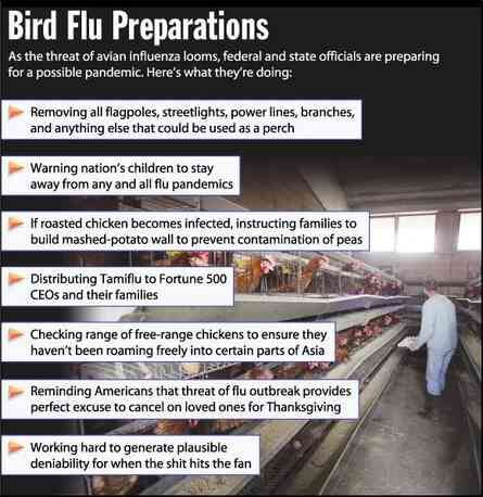 [Image shows a satirical infographic titled "Bird Flu Preparations" with the preamble "As the threat of avian influenza looms, federal and state officials are preparing for a possible pandemic. Here's what they're doing:" followed by bulleted preparation items with a background photo of chickens in cages]  Removing all flagpoles, streetlights, power lines, branches, and anything else that could be used as a perch; Warning nation's children to stay away from any and all flu pandemics; If roasted chicken becomes infected, instructing families to build mashed-potato wall to prevent contamination of peas; Distributing Tamiflu to Fortune 500 CEOs and their families; Checking range of free-range chickens to ensure they haven't been roaming freely into certain parts of Asia; Reminding Americans that threat of flu outbreak provides perfect excuse to cancel on loved ones for Thanksgiving; Working hard to generate plausible deniability for when the shit hits the fan
