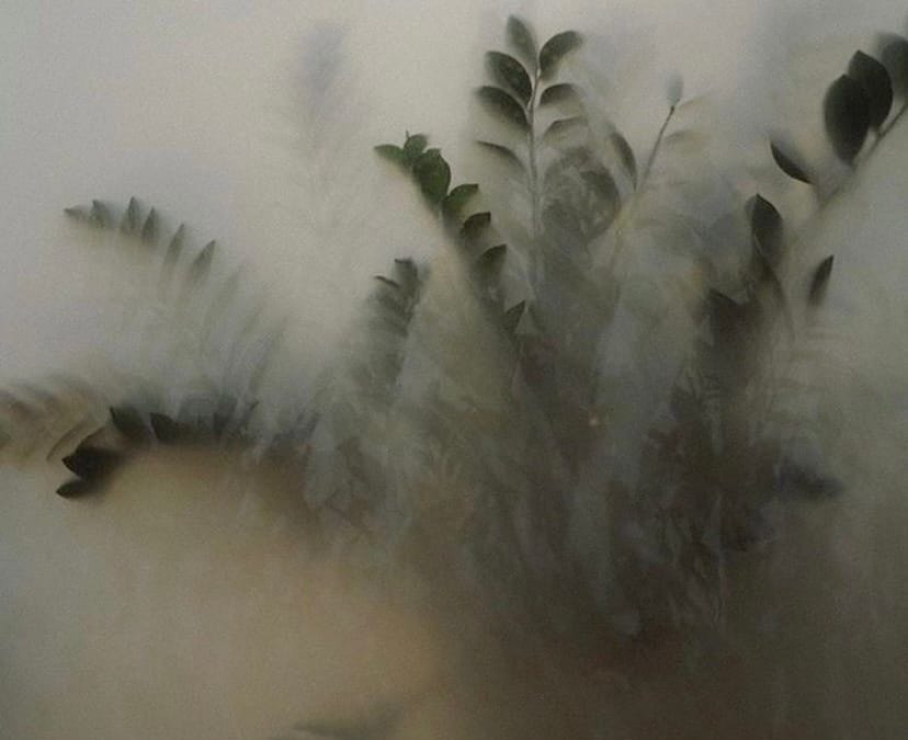 Thumbnail of ur therapist is trained to oppress you.