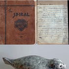 Opinion on QUESTION 2: An Act to Authorize a General Fund Bond Issue for Research and Development and Commercialization