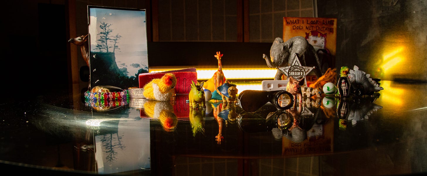 Photo on a glass reflecting table of various tiny animals & miscellaneous trinkets including a stegosaurus, giraffe, and okapi.