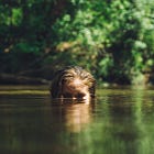 Not All Girls Are Expected to Be Feminine