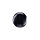 NGARi