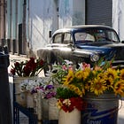 Read Your Way Through Cuba