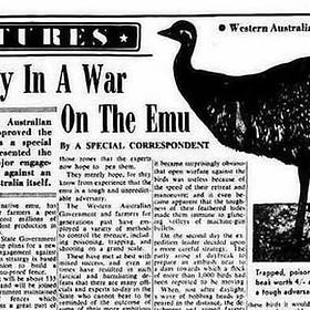 Sunday Desk | I Built a Footstool and Benched C.S. Lewis.