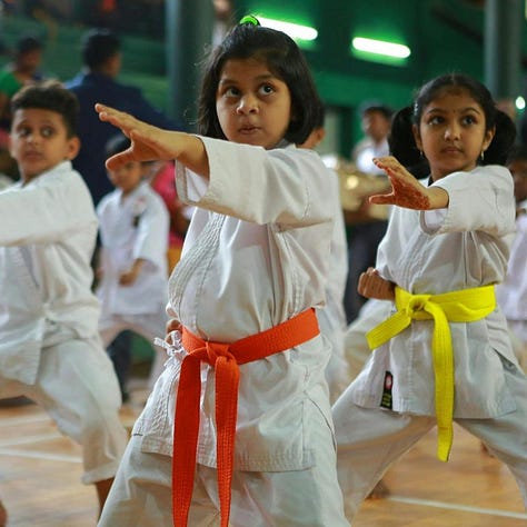 children school gate, karate kids, children on play net