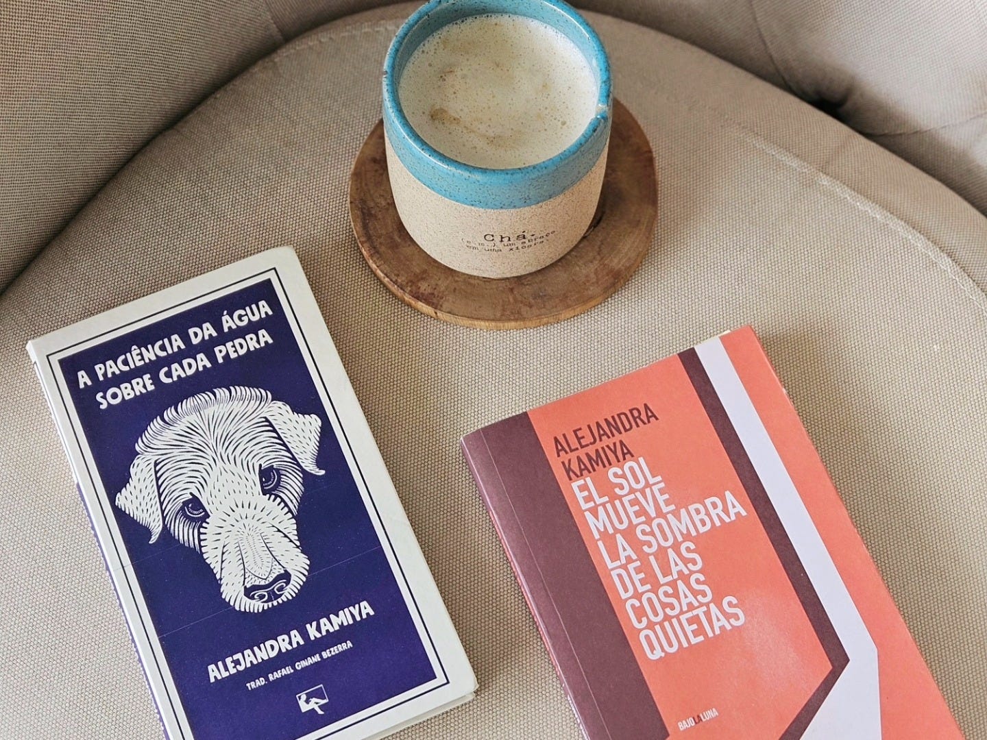 Livros de contos "A paciência da água sobre cada pedra" e "El sol mueve la sombra de las cosas quietas", da escritora argentina Alejandra Kamiya.