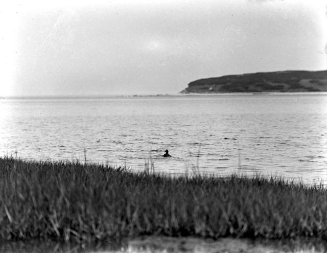 View from Trouants Island Toward Fourth Cliff ; House and water tank