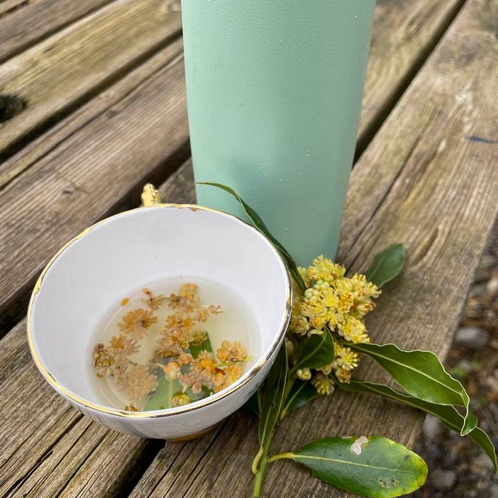 Bay leaf and blossom tea