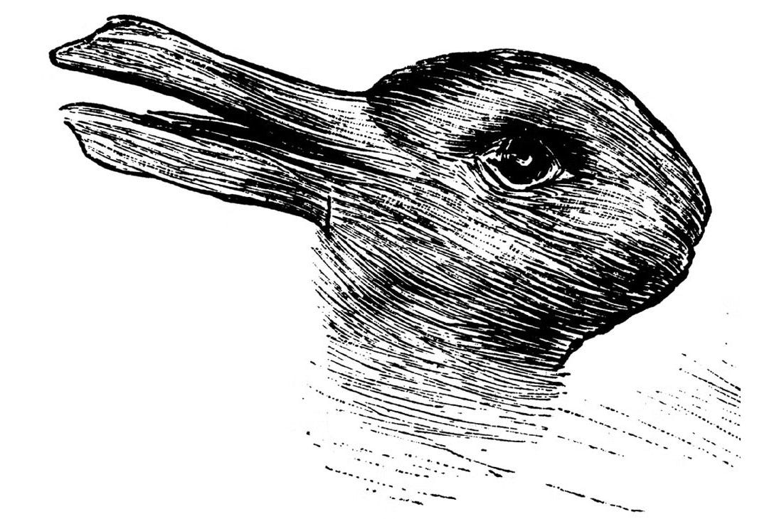 Duck-Rabbit Illusion - by Remo Giuffré - REMORANDOM