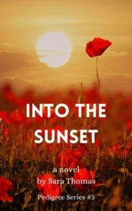 sunset book cover