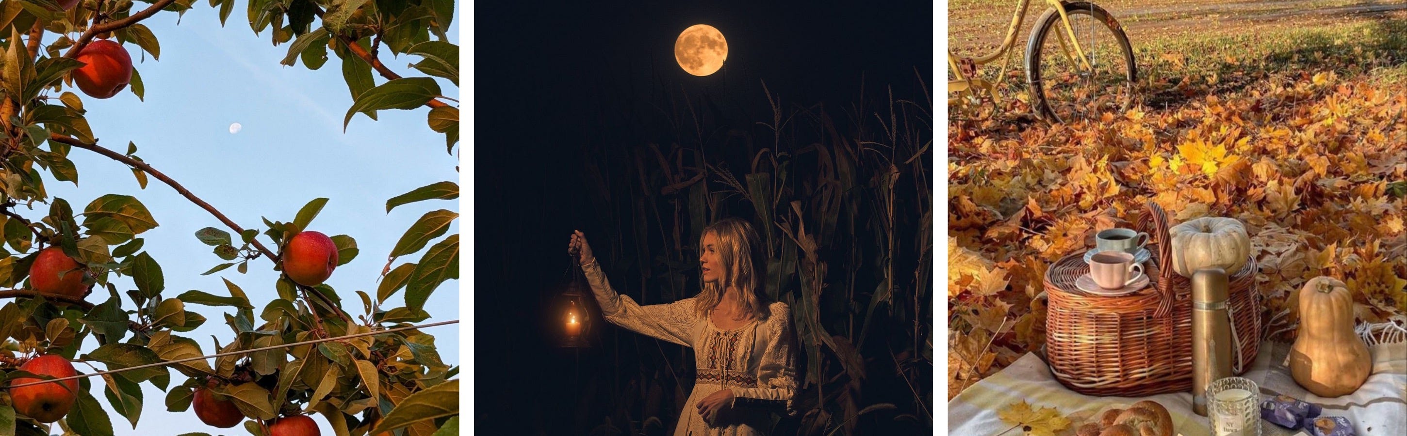 How to celebrate the Full Corn Moon - by Sierra