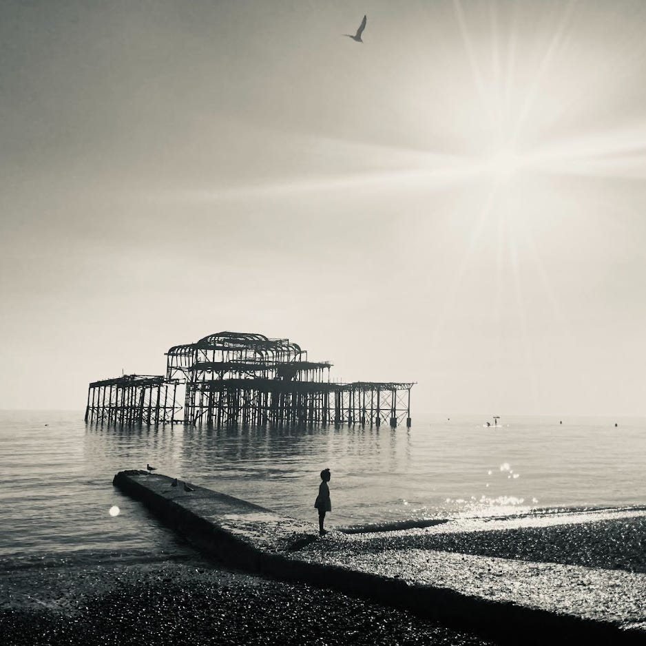 Wounds and Words by Olesya Khromeychuk