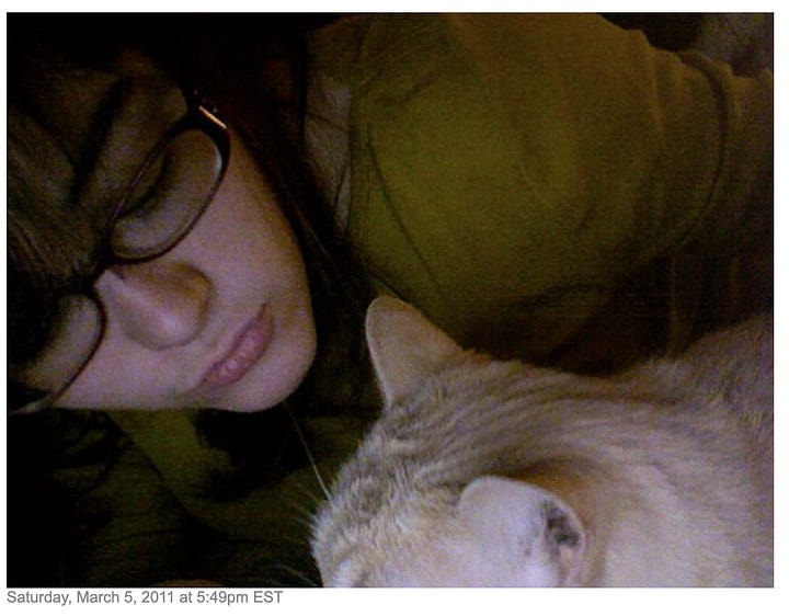 webcam photos of zoë in glasses with a beige tabby cat