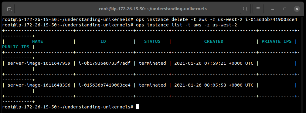 Delete Instance