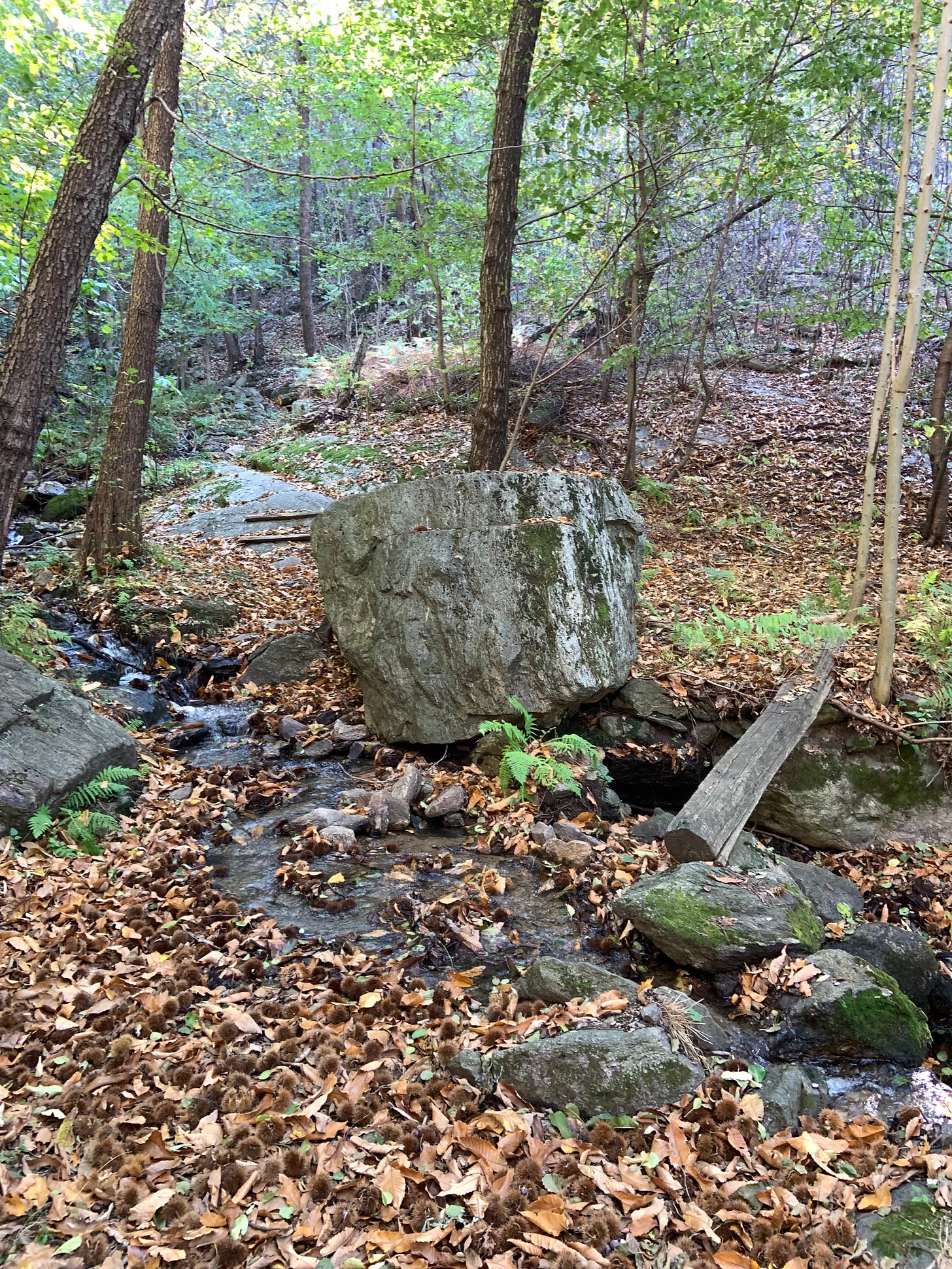 Nature is the ultimate spa, offering tranquility, beauty, and peace that can't be found elsewhere. Take a deep breath, feel the sun on your skin, and let nature work its magic on you.