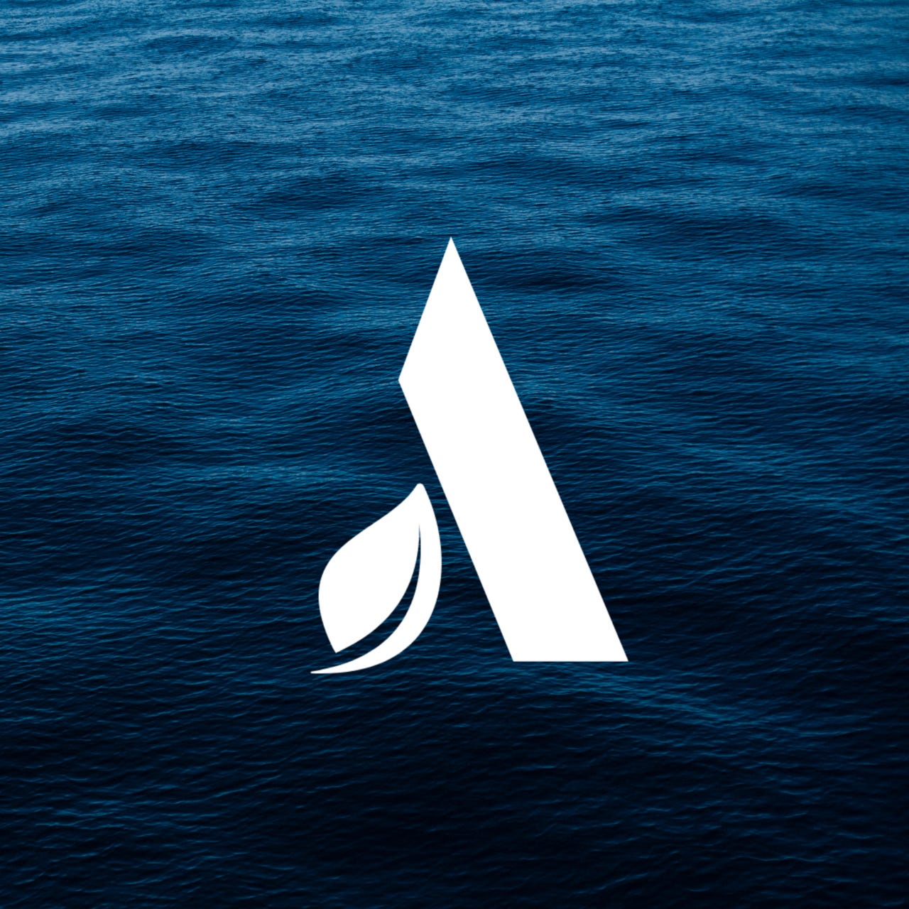 💠 Économie & Patrimoine logo