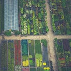 Want to produce a lot of veggies from a small space?