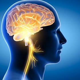 A Brain-Healthy Lifestyle