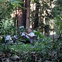 Chris's avatar
